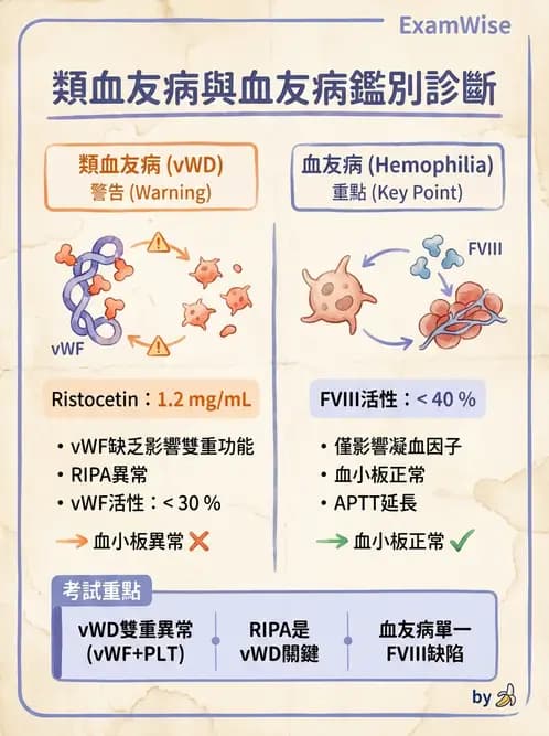 醫檢師 - 出血性疾病與檢驗 - AI 圖文解析預覽