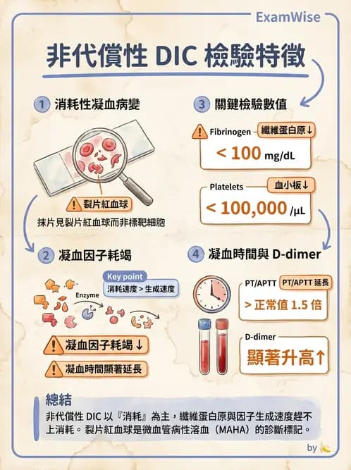 醫檢師 - 出血性疾病與檢驗 - AI 圖文解析預覽