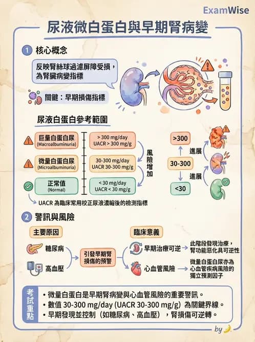 醫檢師 - 尿液化學檢驗 - AI 圖文解析預覽