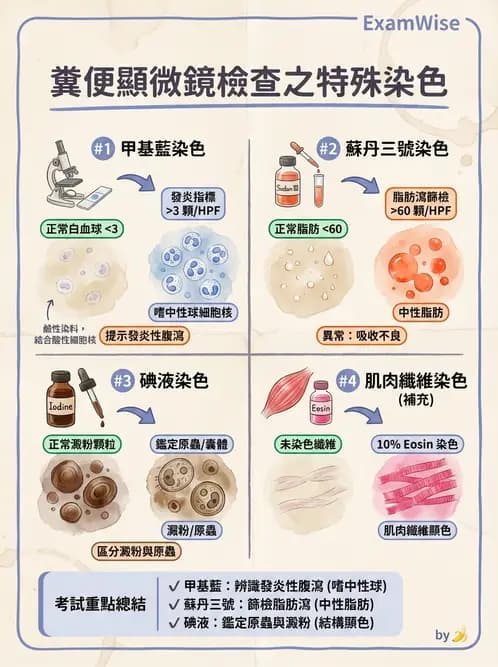 醫檢師 - 糞便常規檢查 - AI 圖文解析預覽