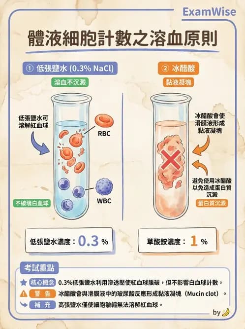 醫檢師 - 穿刺液檢查 - AI 圖文解析預覽