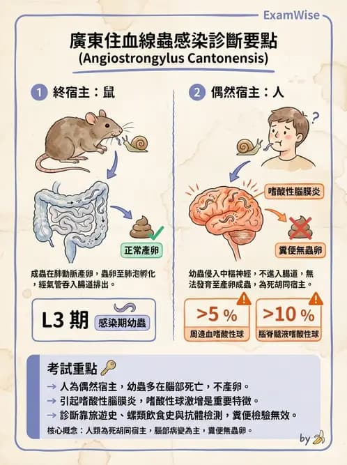 醫檢師 - 寄生蟲檢查-蠕蟲類 - AI 圖文解析預覽