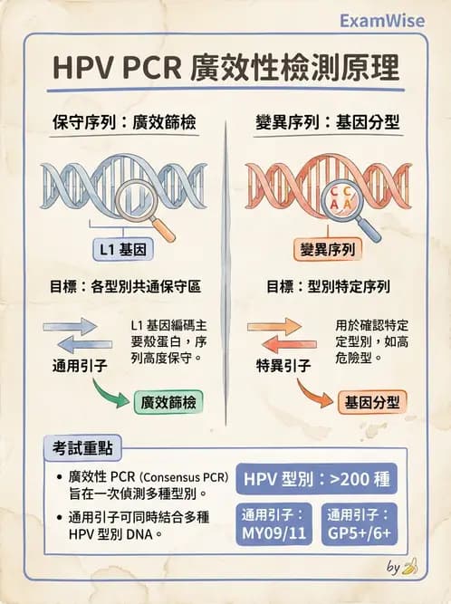 醫檢師 - 感染症分子檢驗 - AI 圖文解析預覽