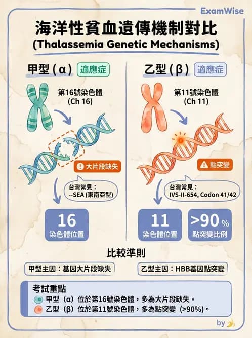 醫檢師 - 遺傳疾病基因檢測 - AI 圖文解析預覽