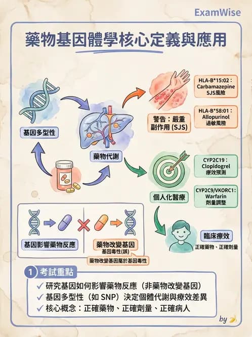 醫檢師 - 藥物相關基因檢測 - AI 圖文解析預覽