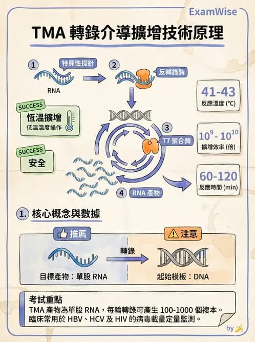 醫檢師 - 核酸擴增與萃取技術 - AI 圖文解析預覽