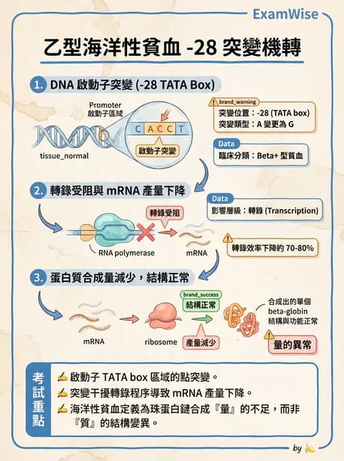 醫檢師 - 遺傳疾病基因檢測 - AI 圖文解析預覽