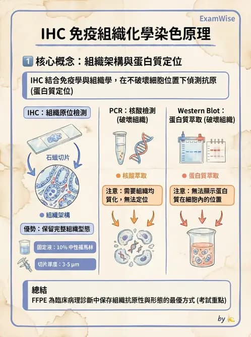 醫檢師 - 腫瘤疾病基因檢測 - AI 圖文解析預覽