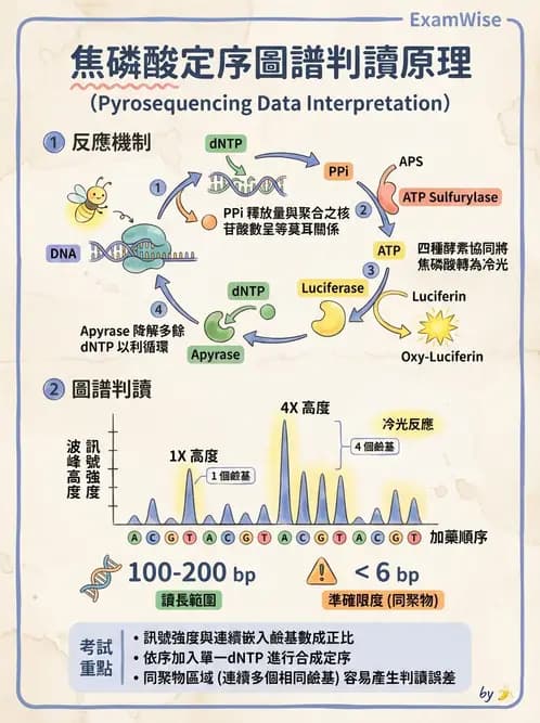 醫檢師 - 定序電泳與表觀分析 - AI 圖文解析預覽