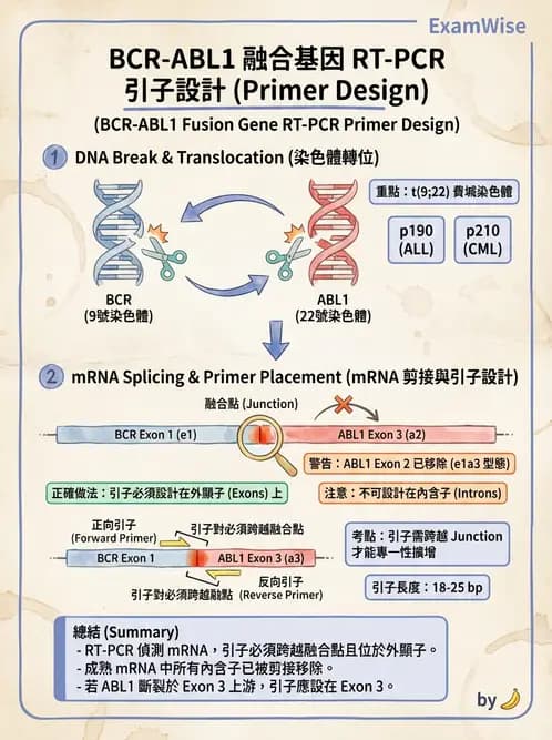 醫檢師 - 腫瘤疾病基因檢測 - AI 圖文解析預覽