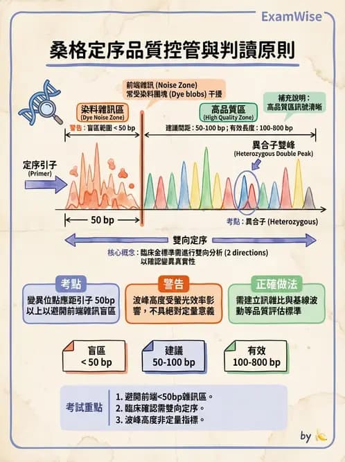 醫檢師 - 定序電泳與表觀分析 - AI 圖文解析預覽