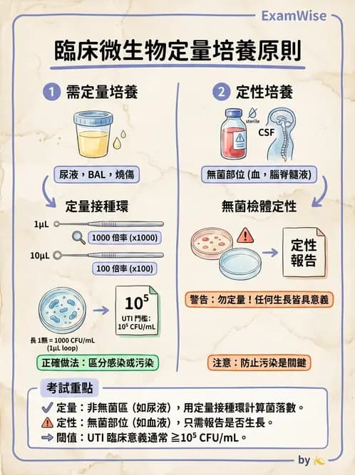 醫檢師 - 檢驗基礎技術 - AI 圖文解析預覽