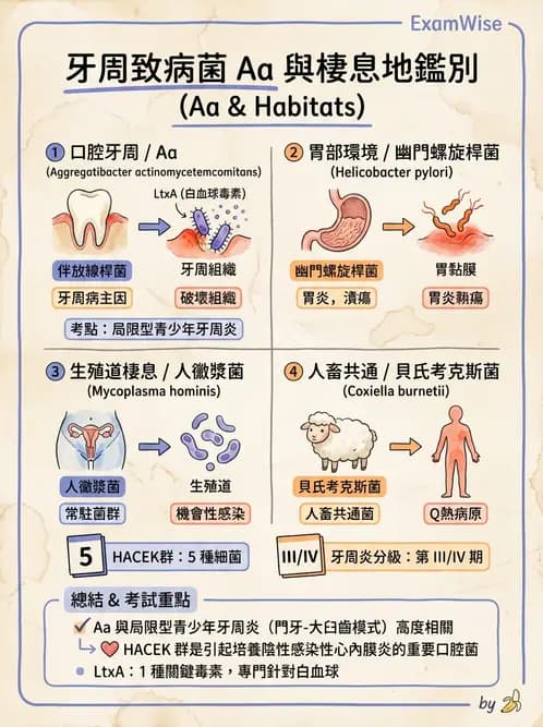 醫檢師 - 奈瑟菌與挑剔性革蘭氏陰性菌 - AI 圖文解析預覽