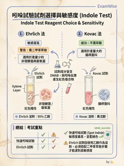 醫檢師 - 檢驗基礎技術 - AI 圖文解析預覽