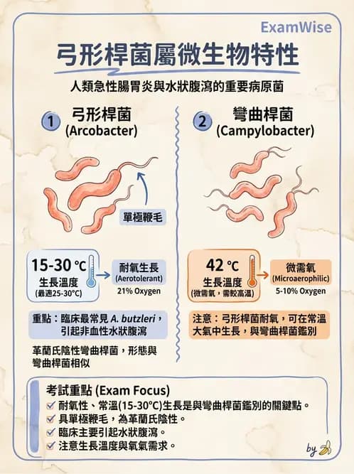 醫檢師 - 弧菌、氣單胞菌與彎曲菌 - AI 圖文解析預覽