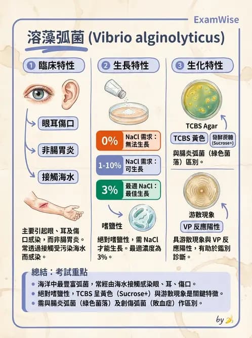 醫檢師 - 弧菌、氣單胞菌與彎曲菌 - AI 圖文解析預覽