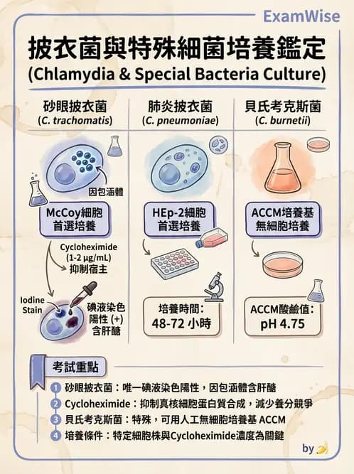 醫檢師 - 特殊病原體 - AI 圖文解析預覽