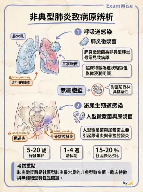 醫檢師 - 特殊病原體 - AI 圖文解析預覽