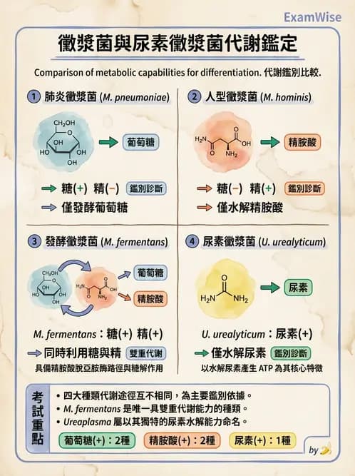 醫檢師 - 特殊病原體 - AI 圖文解析預覽