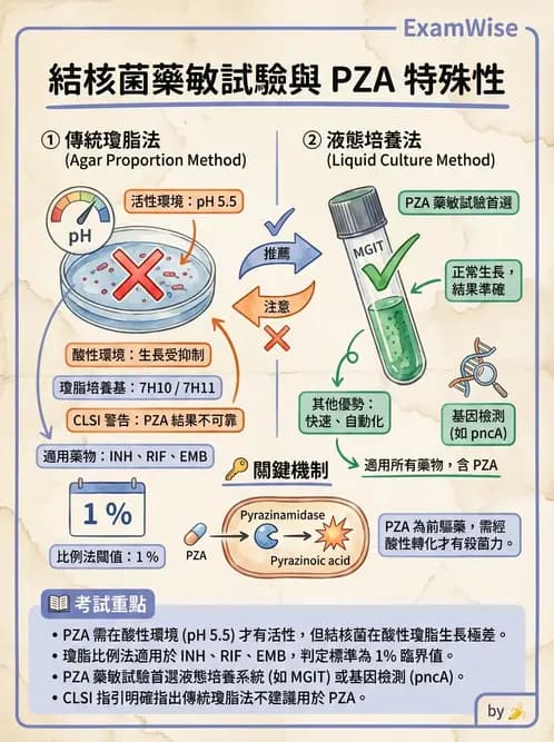 醫檢師 - 藥敏試驗方法 - AI 圖文解析預覽