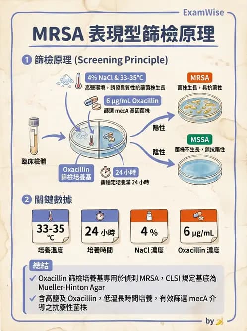 醫檢師 - 藥敏試驗方法 - AI 圖文解析預覽