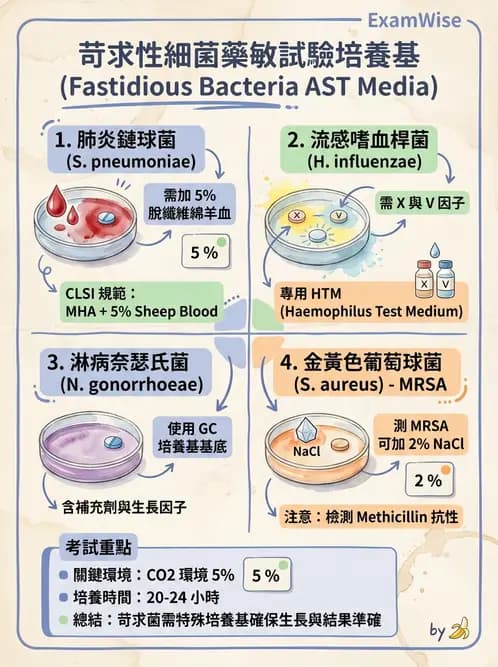 醫檢師 - 藥敏試驗方法 - AI 圖文解析預覽