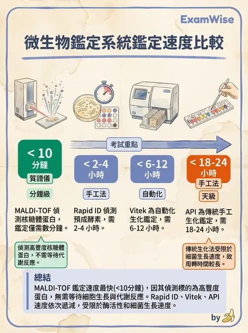 醫檢師 - 檢驗基礎技術 - AI 圖文解析預覽
