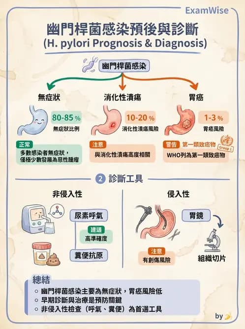 醫檢師 - 弧菌、氣單胞菌與彎曲菌 - AI 圖文解析預覽