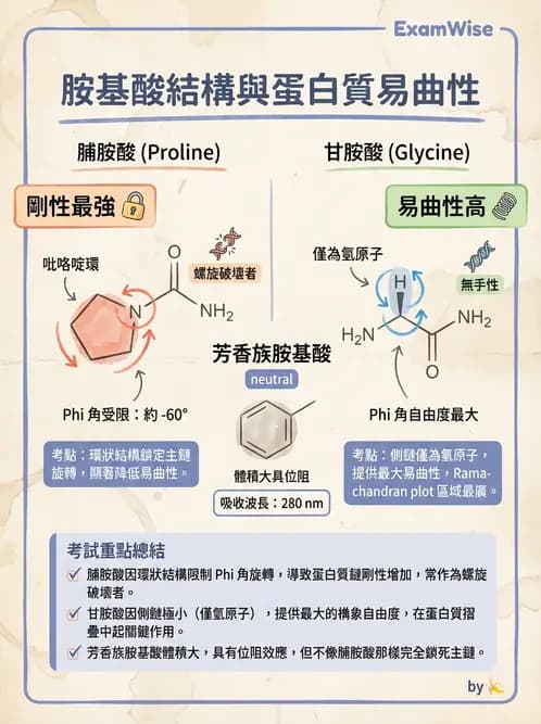 醫檢師 - 胺基酸代謝與先天性疾病 - AI 圖文解析預覽