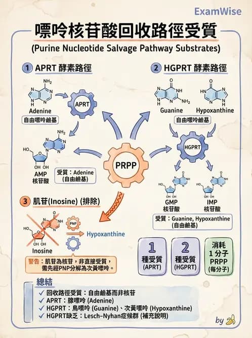 醫檢師 - 基本概念與儀器分析 - AI 圖文解析預覽