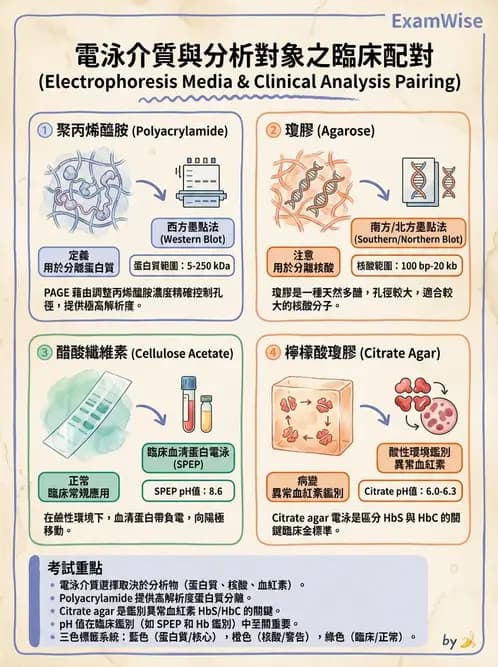 醫檢師 - 基本概念與儀器分析 - AI 圖文解析預覽