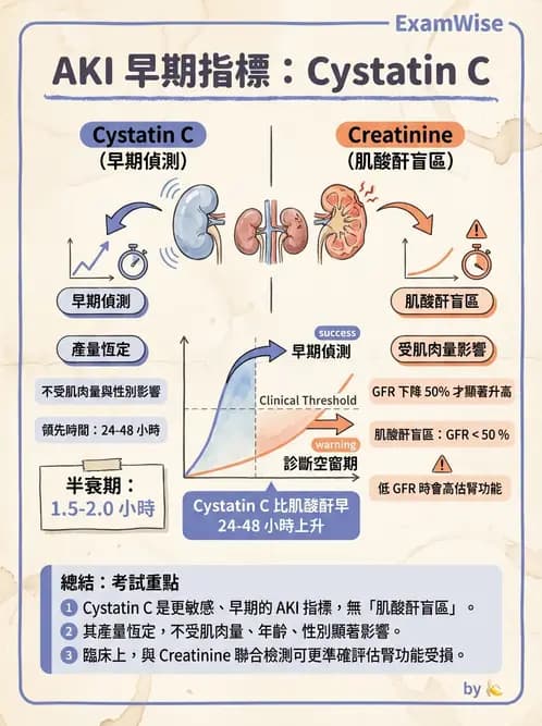 醫檢師 - 腎臟機能與代謝評估 - AI 圖文解析預覽