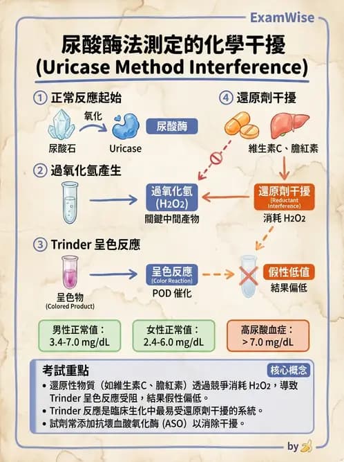 醫檢師 - 腎臟機能與代謝評估 - AI 圖文解析預覽