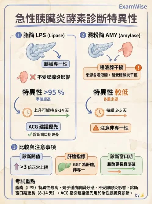 醫檢師 - 肝臟機能與胰臟酵素 - AI 圖文解析預覽
