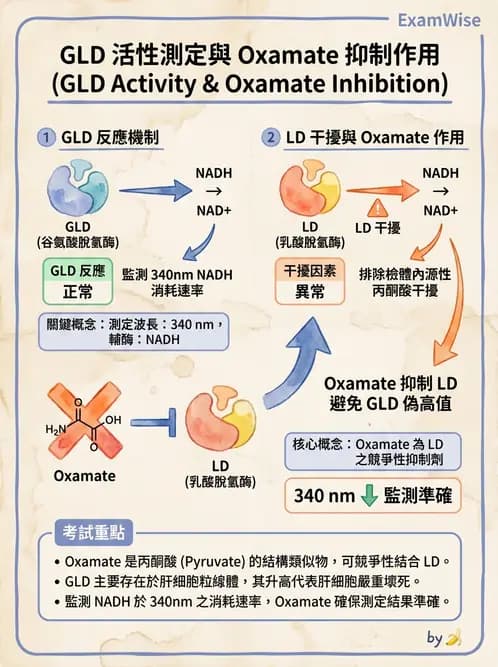 醫檢師 - 臨床酵素學基礎 - AI 圖文解析預覽