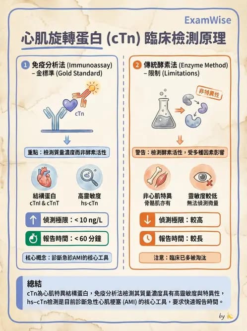 醫檢師 - 心肌標誌與心臟診斷 - AI 圖文解析預覽