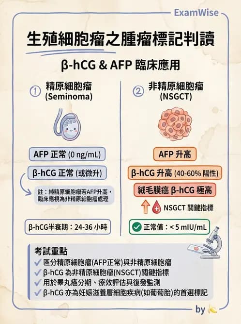 醫檢師 - 腫瘤標誌 - AI 圖文解析預覽