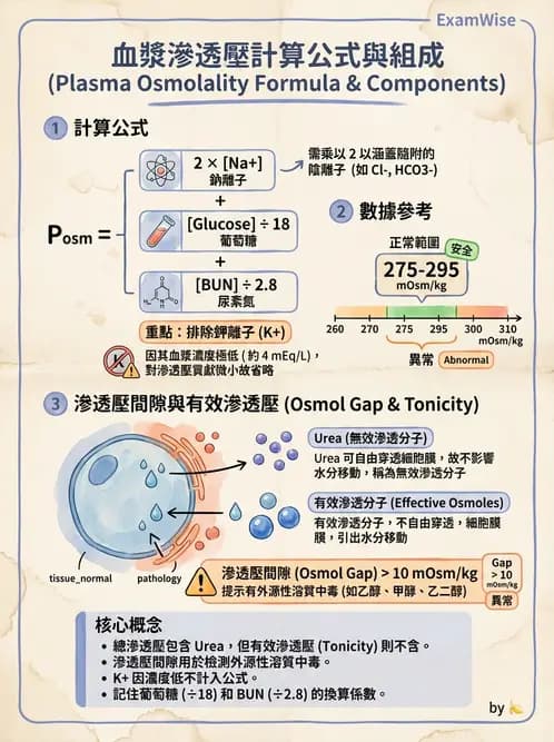 醫檢師 - 電解質與微量元素 - AI 圖文解析預覽