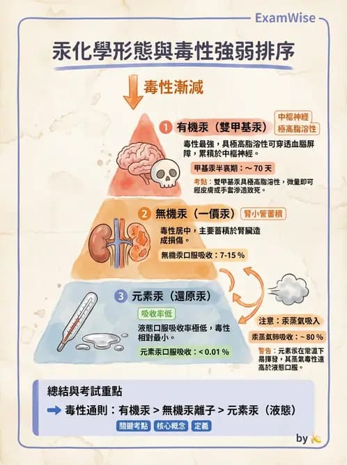 醫檢師 - 治療藥物監測與毒物學 - AI 圖文解析預覽