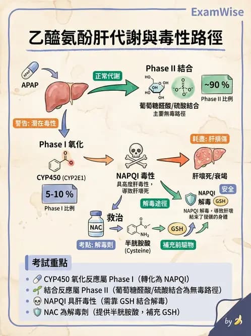 醫檢師 - 治療藥物監測與毒物學 - AI 圖文解析預覽