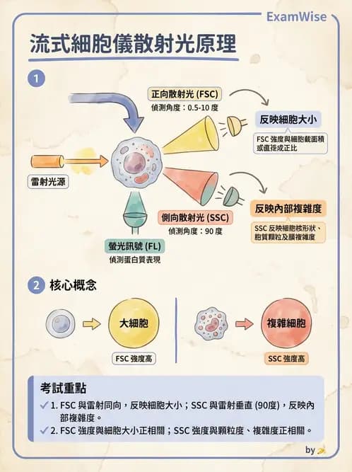 醫檢師 - 實驗室測試免疫法 - AI 圖文解析預覽