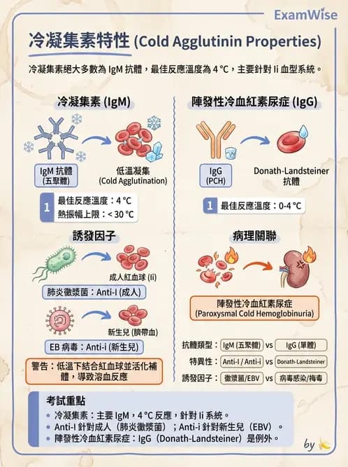 醫檢師 - 急性發炎蛋白與微生物感染血清學 - AI 圖文解析預覽