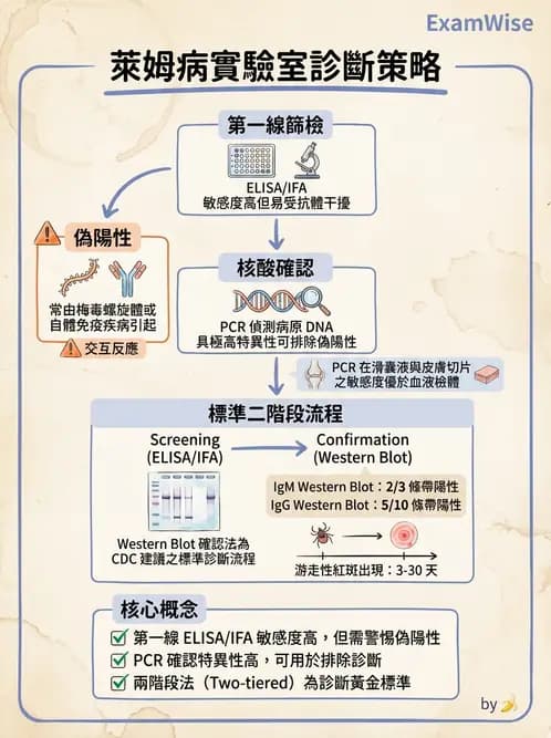 醫檢師 - 急性發炎蛋白與微生物感染血清學 - AI 圖文解析預覽