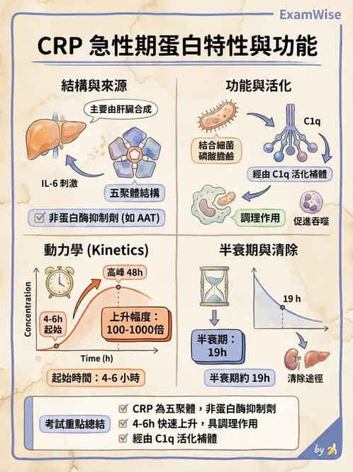 醫檢師 - 急性發炎蛋白與微生物感染血清學 - AI 圖文解析預覽