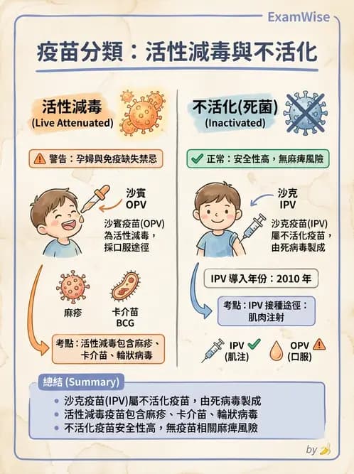 醫檢師 - 抗病毒藥物與疫苗通論 - AI 圖文解析預覽