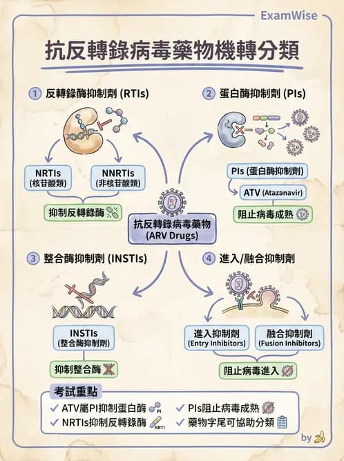 醫檢師 - 反轉錄病毒(HIV/HTLV) - AI 圖文解析預覽