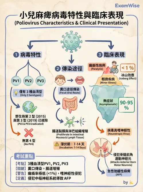 醫檢師 - 小RNA病毒科與腸道病毒 - AI 圖文解析預覽