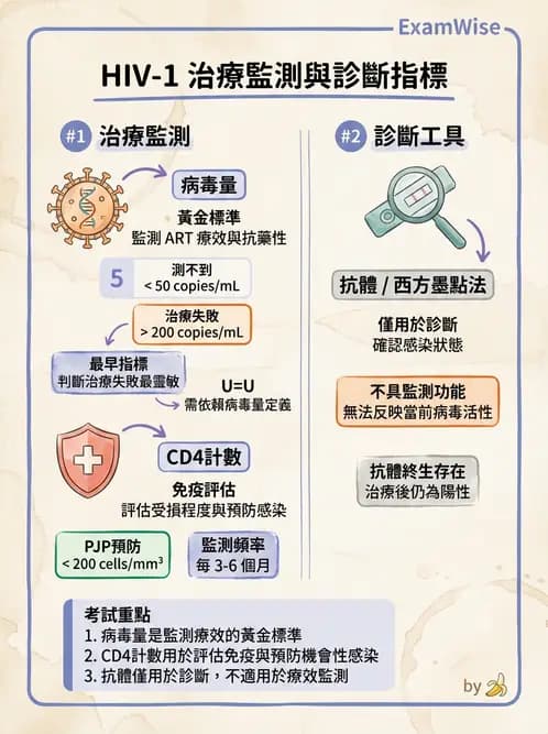 醫檢師 - 反轉錄病毒(HIV/HTLV) - AI 圖文解析預覽