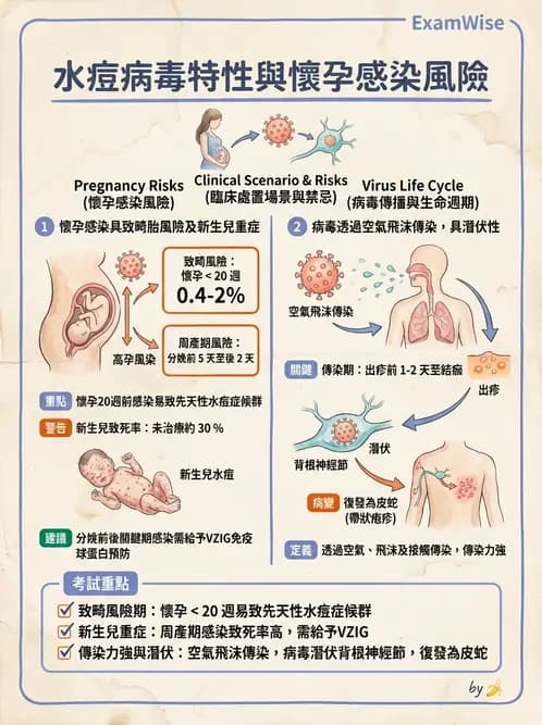 醫檢師 - 疱疹病毒科 - AI 圖文解析預覽