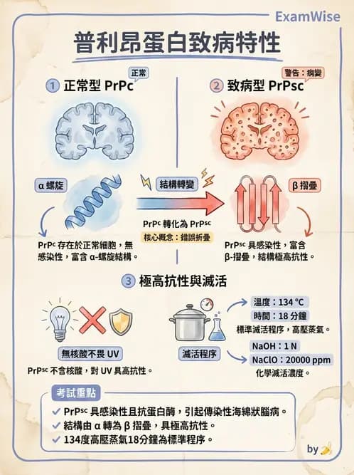 醫檢師 - 朊蛋白與其他DNA相關病原 - AI 圖文解析預覽